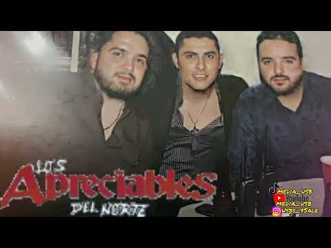 Los Apreciables  Del Norte - Chavo Felix ( Corridos ineditos En Vivo 2012)