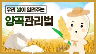 쌀값 안정 대책, 양곡관리법 개정, 쌀 시장격리에 대해 확실하게 알아보자!