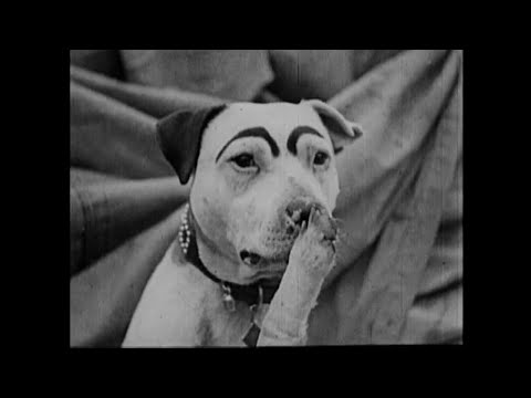 KNOCKOUT BUSTER (1929) - Buster Brown
