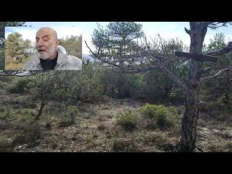 225. Turó del Galutxo 2024-12-08 (Conca de Barberà)