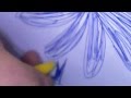 Рисуем колибри и цветок ручкой 