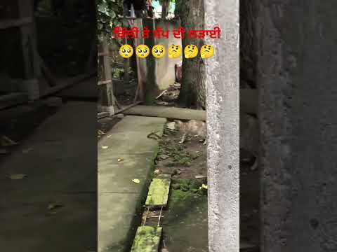 #Kuldeep # manak#song #punjabimusic #music #viralvideo