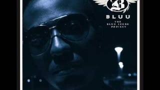 Bluu Suede - Materialistic