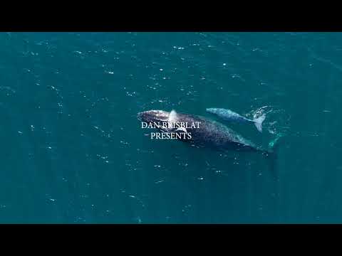 16/543 Gold Coast Highway, Tugun, QLD 4224, 2 Kuwarto, 2 Banyo, Apartment