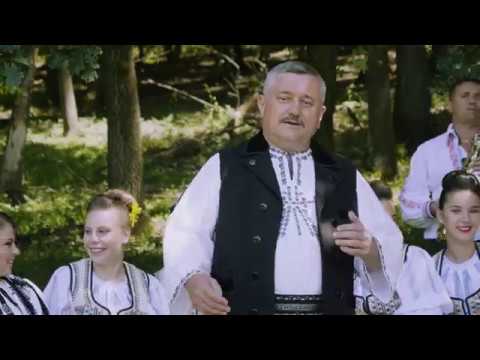 Nelu Paucean  - Zice lumea ca-s batran