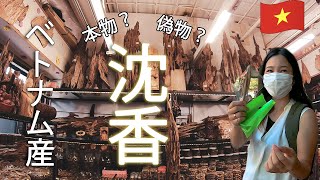 【ホーチミン】金より高い香り高き木【ベトナム産沈香】本物？偽物？