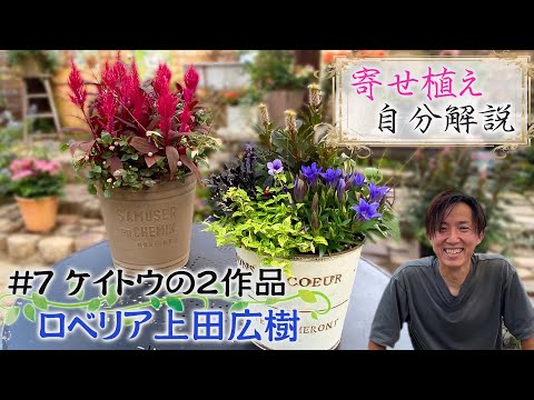 ロベリアについて詳しく解説