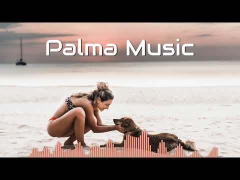 Struck By You (COE Remix) - Seroa [Palma Music]
