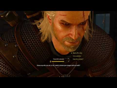 The Witcher 3: Wild Hunt |part 1| Nilfgaardian Connection