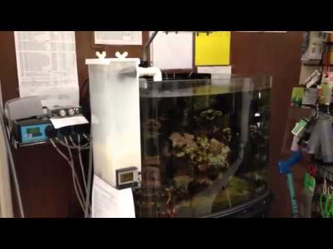 Kalk King   Everyone's dream Kalkwasser doser with water auto top off !