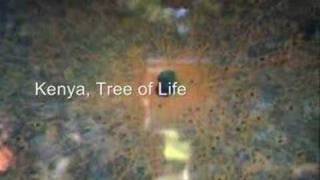 Le Voyage de Rock (Leroy's 1st video)