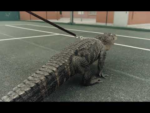 Lord XIV x Dj Dadda - Lolita