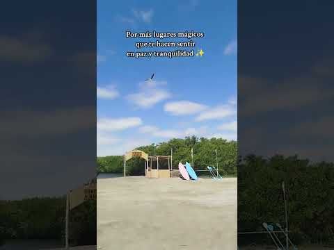 Manglares de sechura-piura #rutas_del_peru