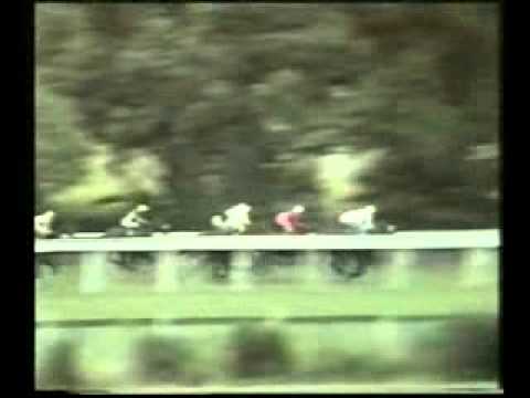 1978 Royal Lodge Stakes Ascot Troy & Ella Manna Mou