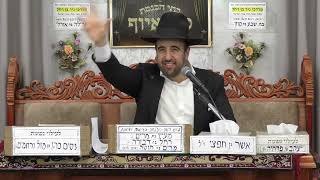 הרב מאיר אליהו ｜ עמלק חי בישראל ｜ מוסאיוף   אדר ה׳תשפ״ו (רבנים שונים) - התמונה מוצגת ישירות מתוך אתר האינטרנט יוטיוב. זכויות היוצרים בתמונה שייכות ליוצרה. קישור קרדיט למקור התוכן נמצא בתוך דף הסרטון