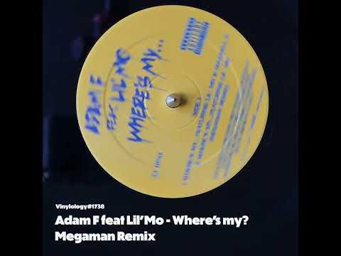 Adam F feat Lil'Mo - Where's my (Megaman Remix)