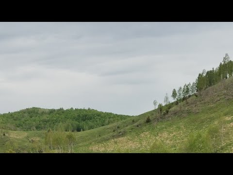 Codru Moma partea a doua ( cazare gratis la,,pensiunea,, Grajdul Părăsit)