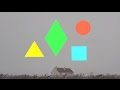 Clean Bandit - Mozart's House (Polkadot Remix) [Official]