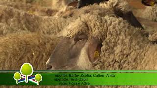 TERMÉSZETVÉDELEM HATÁROK NÉLKÜL