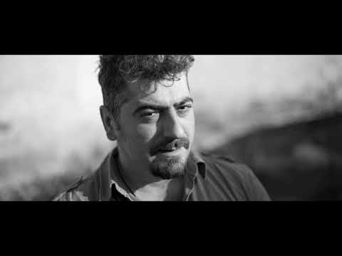 Ovidiu Niculescu Suflet de haimana