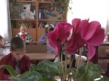 ПЕРШОКЛАСНИКИ 