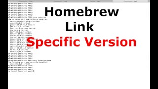 How to Homebrew brew link a specific version