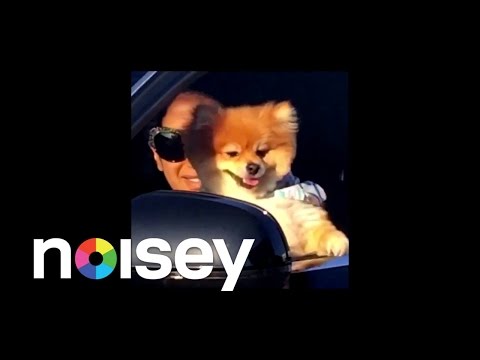 Jim-E Stack "Deadstream" (Official Music Video)