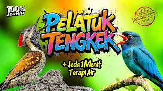Download lagu MASTERAN SATU JALUR JEDA TERAPI AIR KOMBINASI PELATUK BAWANG X TENGKEK BUTO! mp3 Download lagu MASTERAN SATU JALUR JEDA TERAPI AIR KOMBINASI PELATUK BAWANG X TENGKEK BUTO! mp3