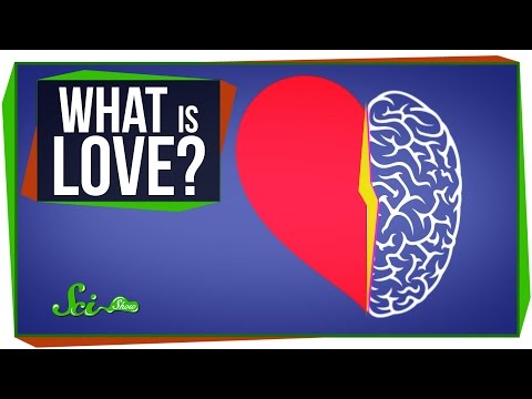 大哉問：愛到底是什麼？ (World's Most Asked Questions: What Is Love?)