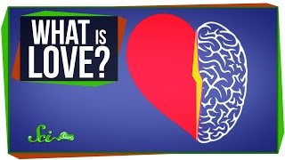 World’s Most Asked Questions: What Is Love?
