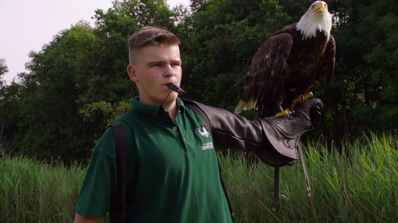 Placeholder from YouTube