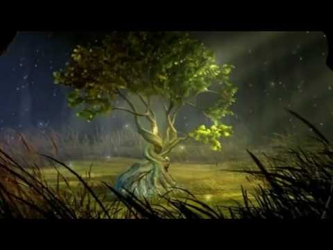 Shirkun, më i fshehur se ecja e buburrecit.