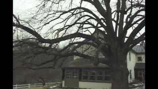 preview picture of video 'tree pruning berwyn PA'