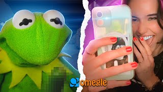 Kermit finds a girlfriend on Omegle