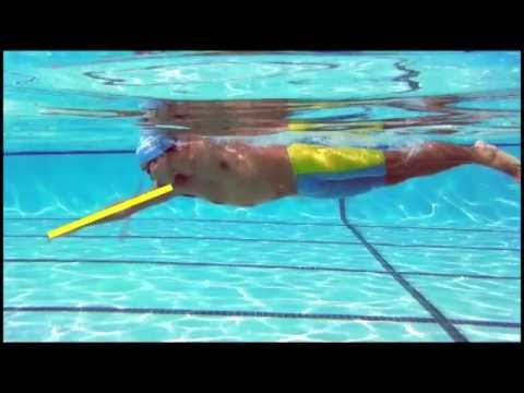 Seminar01-05:Why TI Swimming is Different 2