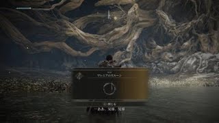 ELDEN RING　マレニア戦