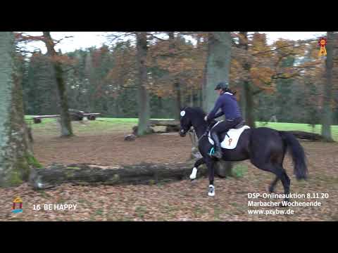 KN 16 BE HAPPY im Gelände - 4-j. Stute v. Be Careful-Caribik   *Marbacher Wochenende 2020*