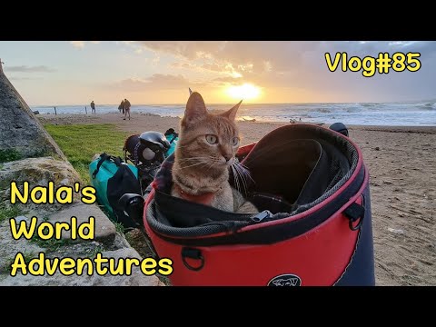 Massive THUNDERSTORM leaving ROME🌧🇮🇹 VLOG #85