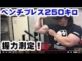 ベンチプレス250キロ挙げる、マーク選手の握力を測定しました!150キロオーバーなるか?
