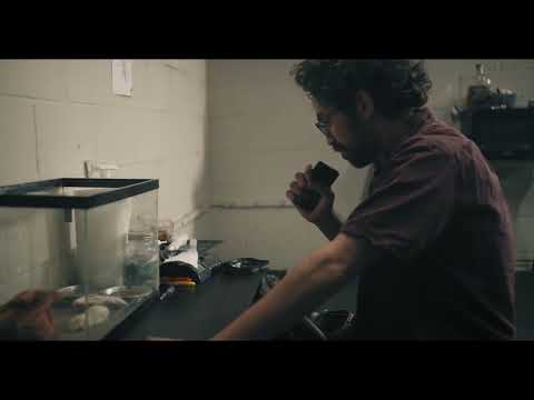 HOPE & FAITH – A ONE MINUTE SHORT FILM.