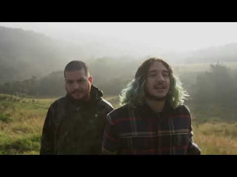 Hienas (con Métricas Frías)