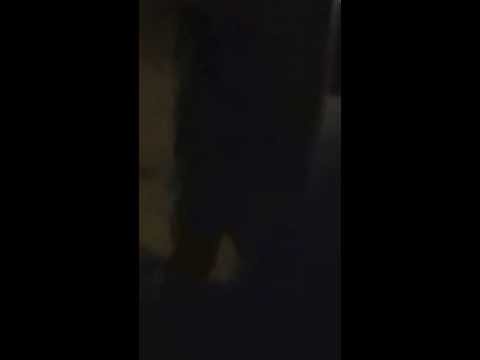 Footage from June 23 at Cleveland Indoor Airsoft, ACRU vs. the rest.