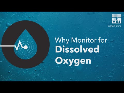 image-Why is dissolved oxygen important to life in the rivers & lakes?