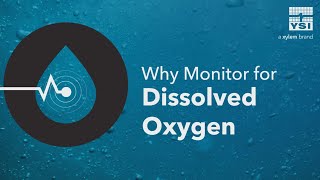 Why Monitor for Dissolved Oxygen