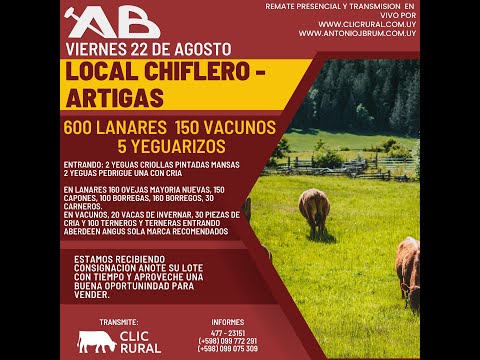 22/8/2025 - Local Chiflero - Artigas - Feria Mensual - Antonio J Brum