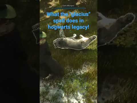 Gey Frosty with the glacius spell! #hogwarts #hogwartslegacy