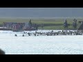 Chincoteague Pony Swim celebrates 100 years