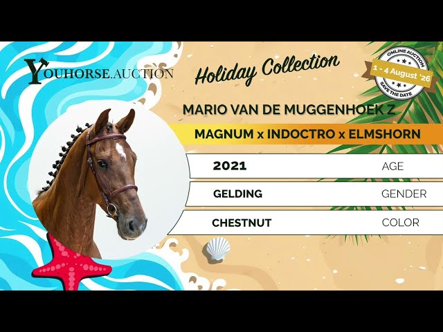Mario van de Muggenhoek Z