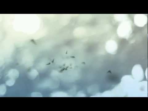 Sergeant Pluck himself - Treasures - Sergeant Pluck himself (Official Video)