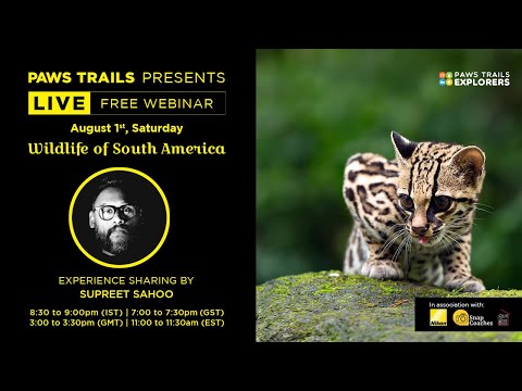 Wildlife of South America by Supreet Sahoo